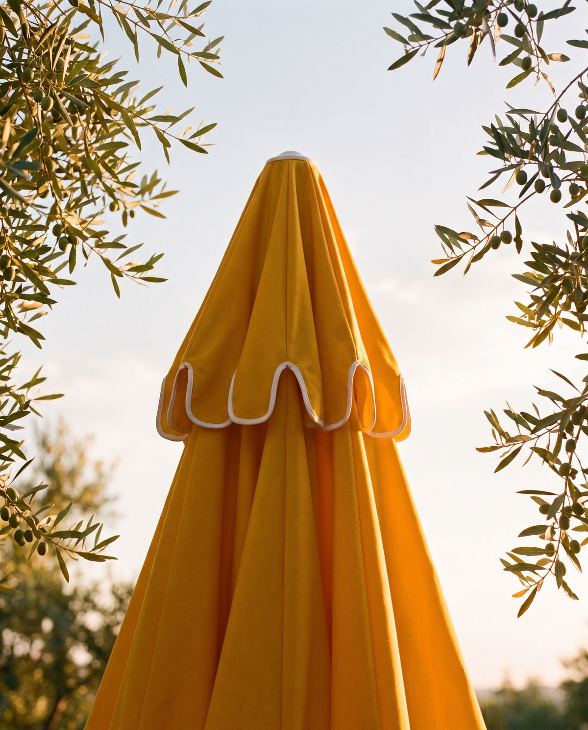 Canopy colour holding in strong sun