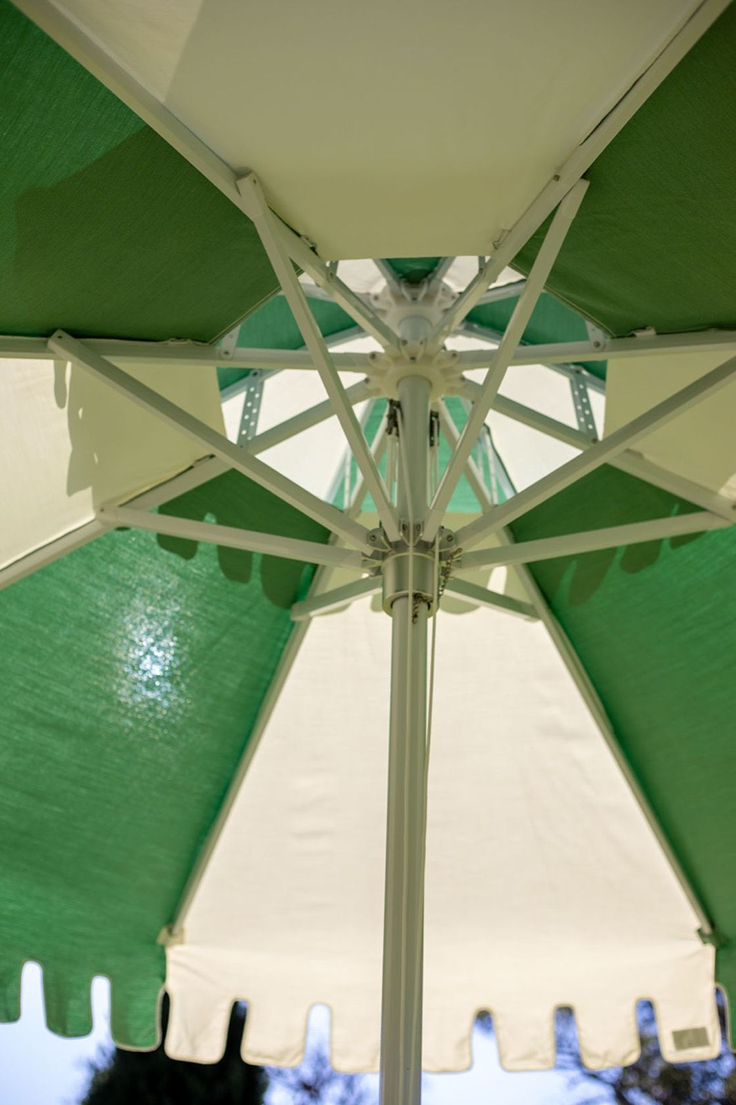 The underside of the canopy, pole and ribs